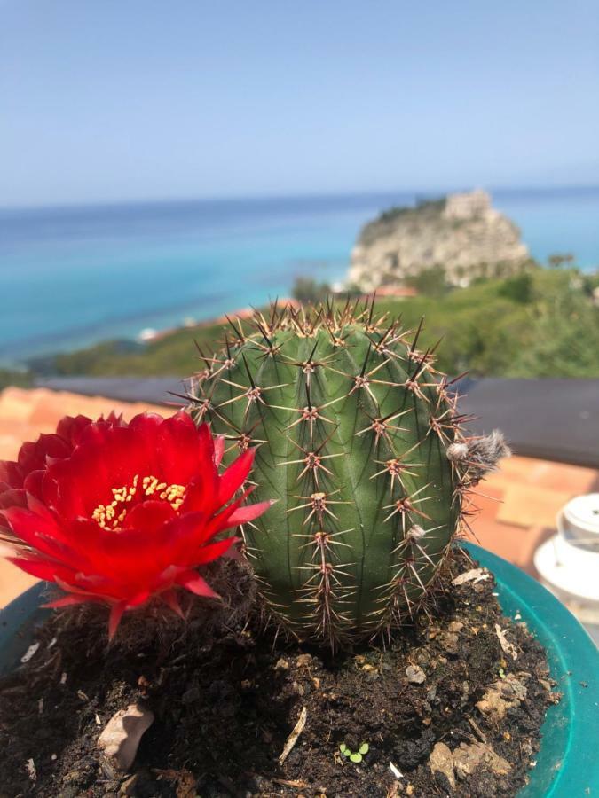La Mesonette A Due Passi Dal Mare Apartment Tropea Luaran gambar